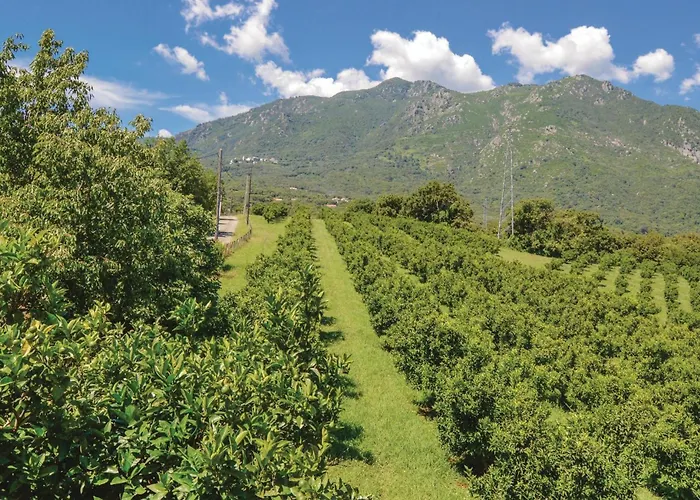 Beautiful In Maria Poggio Santa-Maria-Poggio (Corsica)